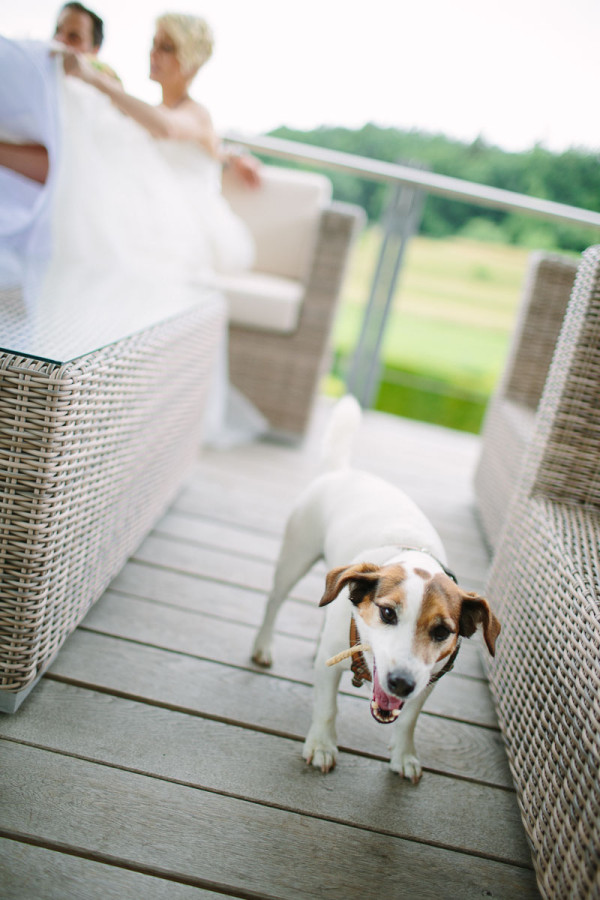 Hund mit Brautpaar im Hintergrund